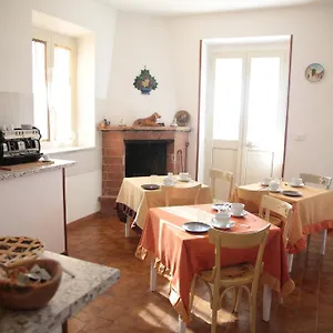 Grappoli Di Sole Roma